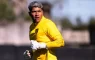 Penarol brayan cortes