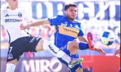 marchant colo colo everton