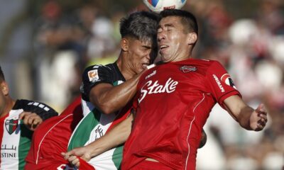 nublense palestino