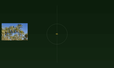 Elche vs. At. Madrid