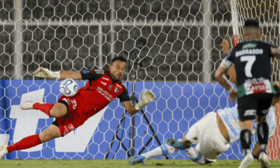 zanahoria perez penal