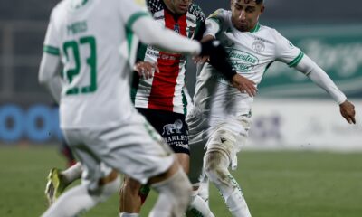 audax italiano palestino 1