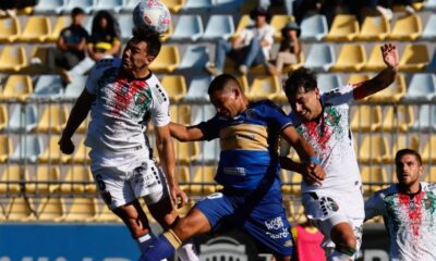 palestino everton palacios