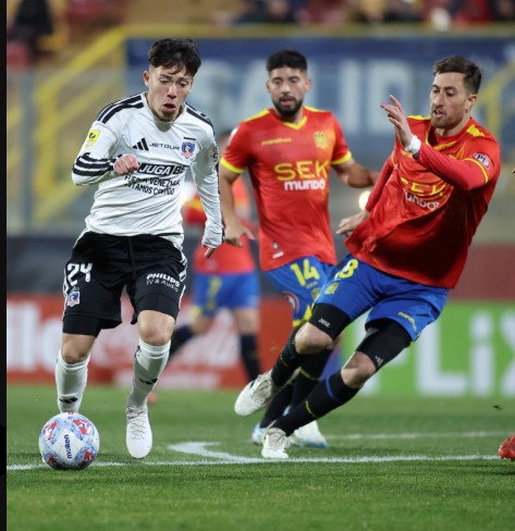 hernandez colo colo
