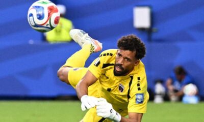 Vozinha Colo Colo