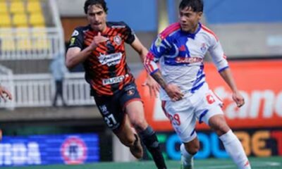 limache u de chile