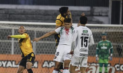palestino coquimbo unido