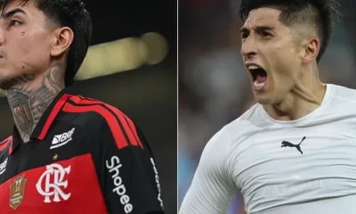 libertadores erick pulgar fernando cornejo